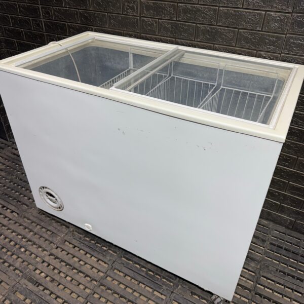 FREZZER INELRO 300 LTS